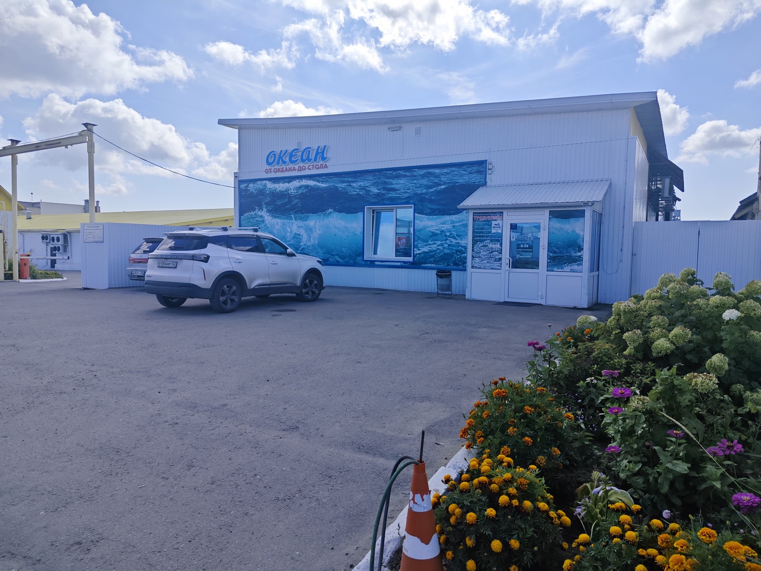 Океан, Дальняя 19/1